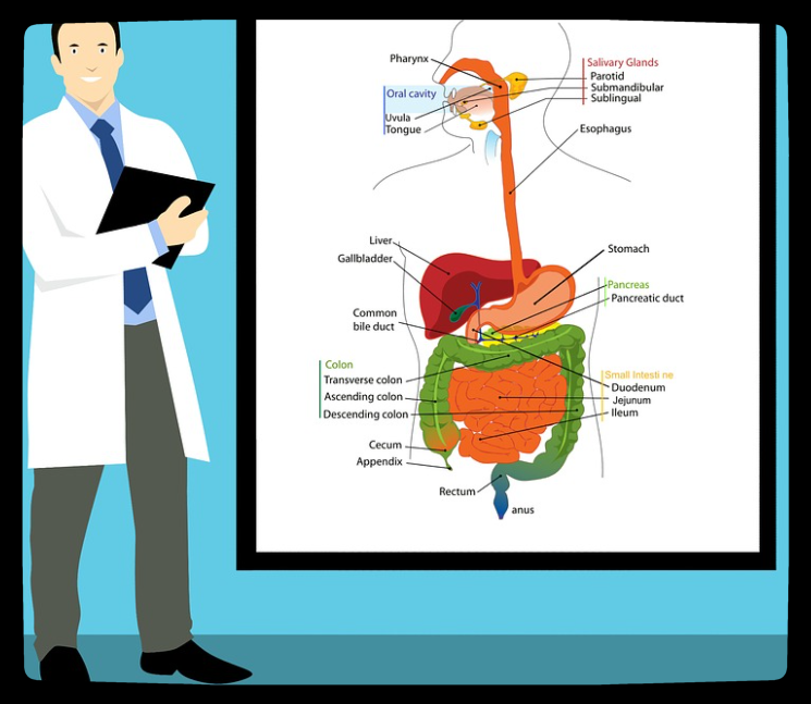 胃肠机检查 胃肠机检查
